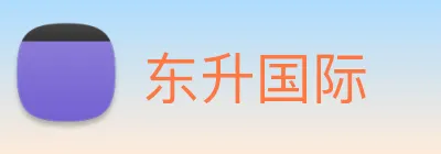 东升国际 logo